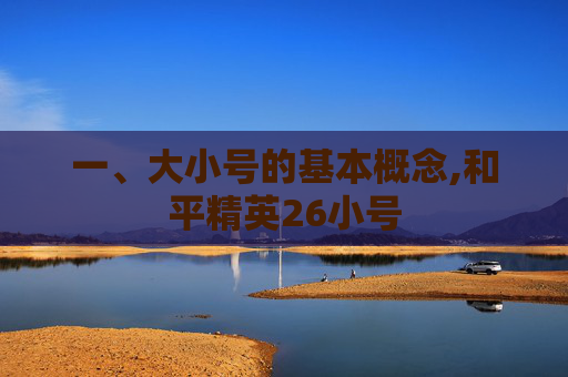 一、大小号的基本概念,和平精英26小号