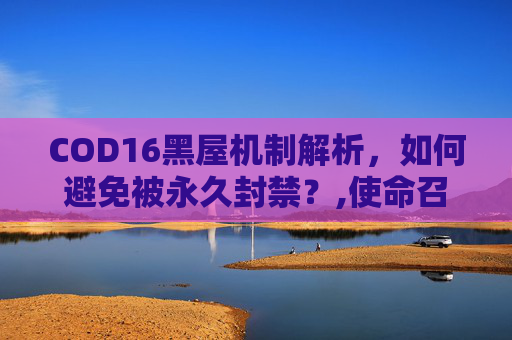COD16黑屋机制解析，如何避免被永久封禁？,使命召唤16小黑屋查询方法