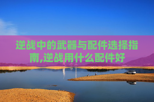 逆战中的武器与配件选择指南,逆战用什么配件好