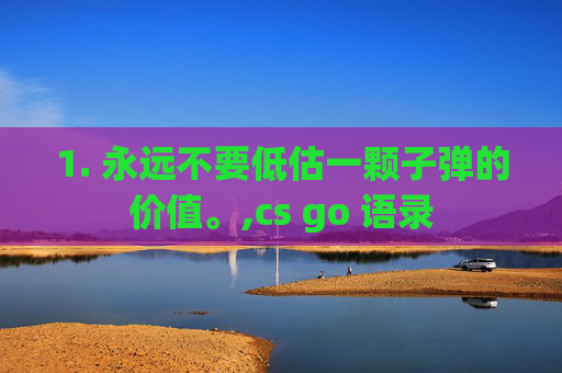 1. 永远不要低估一颗子弹的价值。,cs go 语录