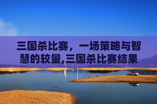 三国杀比赛，一场策略与智慧的较量,三国杀比赛结果