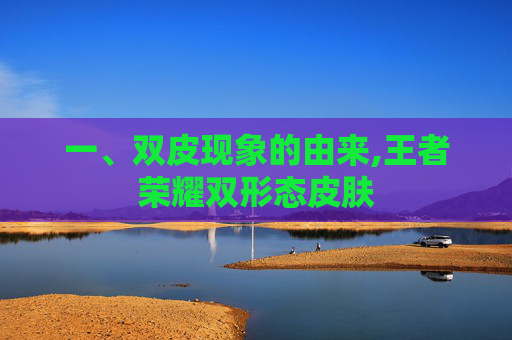 一、双皮现象的由来,王者荣耀双形态皮肤