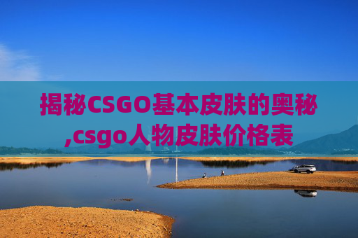 揭秘CSGO基本皮肤的奥秘,csgo人物皮肤价格表