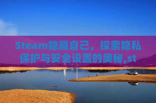 Steam隐藏自己，探索隐私保护与安全设置的奥秘,steam可以隐藏好友吗