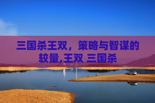 三国杀王双，策略与智谋的较量,王双 三国杀