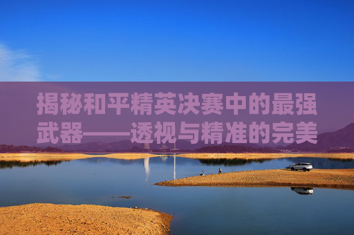 揭秘和平精英决赛中的最强武器——透视与精准的完美结合,和平精英本赛季最强枪械