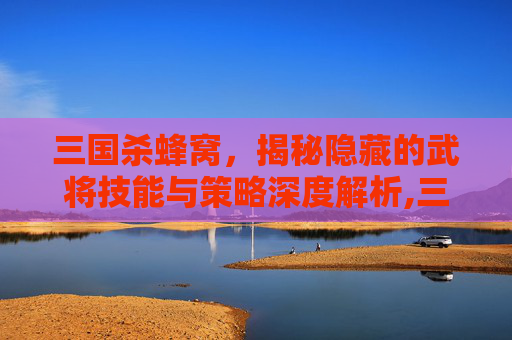 三国杀蜂窝，揭秘隐藏的武将技能与策略深度解析,三国杀素材库