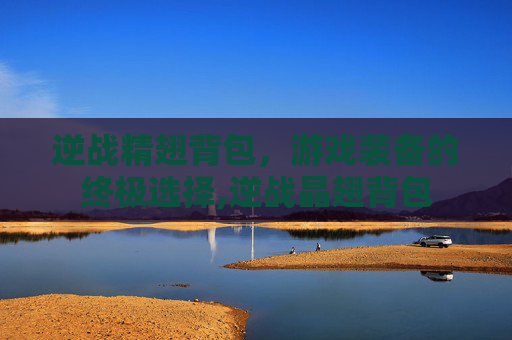 逆战精翅背包，游戏装备的终极选择,逆战晶翅背包