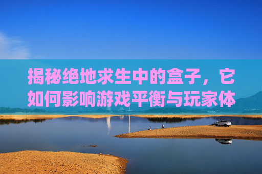 揭秘绝地求生中的盒子，它如何影响游戏平衡与玩家体验？,pubg盒子叫什么名字