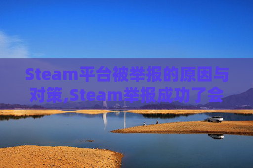 Steam平台被举报的原因与对策,Steam举报成功了会通知吗