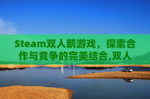 Steam双人鹅游戏，探索合作与竞争的完美结合,双人steam小游戏