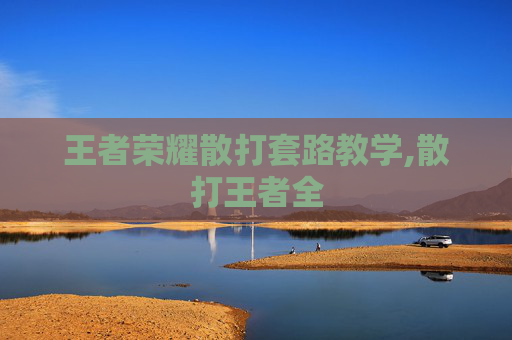 王者荣耀散打套路教学,散打王者全