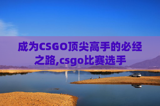 成为CSGO顶尖高手的必经之路,csgo比赛选手