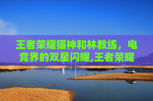 王者荣耀猫神和林教练，电竞界的双星闪耀,王者荣耀猫神和林教练谁厉害
