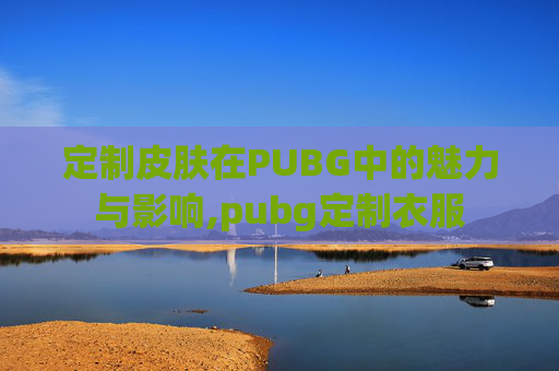 定制皮肤在PUBG中的魅力与影响,pubg定制衣服-第1张图片-游戏守望资讯网