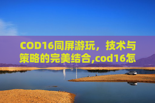COD16同屏游玩，技术与策略的完美结合,cod16怎么双人分屏-第1张图片-游戏守望资讯网