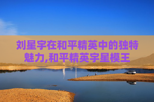刘星宇在和平精英中的独特魅力,和平精英宇星模王