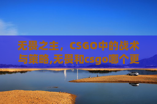 无畏之主，CSGO中的战术与策略,无畏和csgo哪个更值得入手
