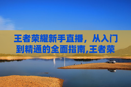王者荣耀新手直播，从入门到精通的全面指南,王者荣耀新手直播话术