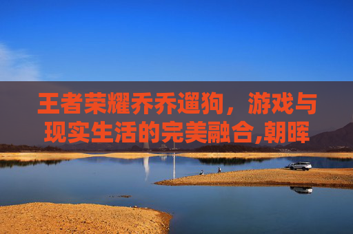 王者荣耀乔乔遛狗，游戏与现实生活的完美融合,朝晖一区二手房