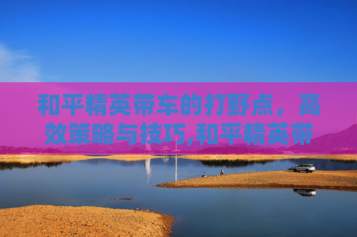 和平精英带车的打野点，高效策略与技巧,和平精英带车的打野点是什么