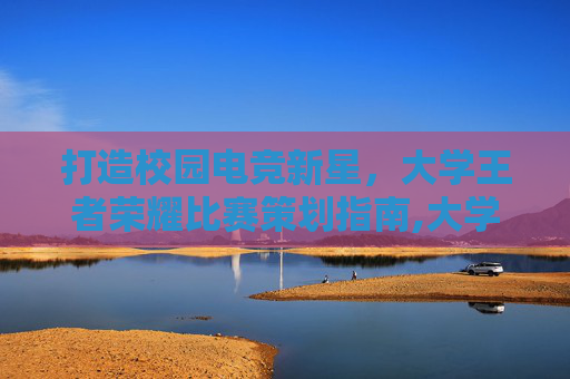 打造校园电竞新星，大学王者荣耀比赛策划指南,大学王者荣耀比赛策划书
