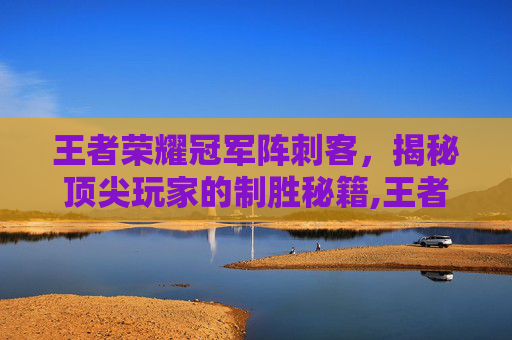 王者荣耀冠军阵刺客，揭秘顶尖玩家的制胜秘籍,王者荣耀冠军阵刺客怎么出装