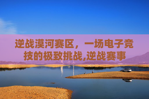 逆战漠河赛区，一场电子竞技的极致挑战,逆战赛事