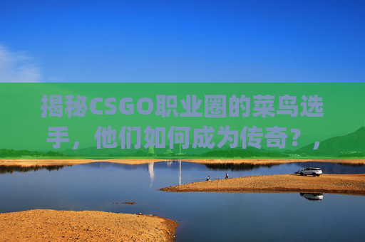 揭秘CSGO职业圈的菜鸟选手，他们如何成为传奇？,csgo厉害的职业选手