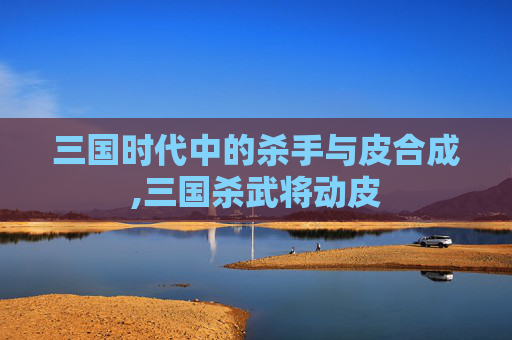 三国时代中的杀手与皮合成,三国杀武将动皮
