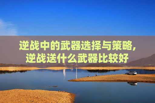 逆战中的武器选择与策略,逆战送什么武器比较好