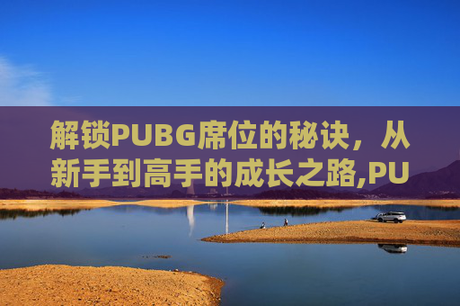 解锁PUBG席位的秘诀，从新手到高手的成长之路,PUBG段位