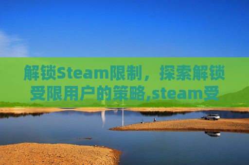 解锁Steam限制，探索解锁受限用户的策略,steam受限账户怎么办