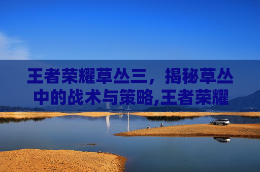 王者荣耀草丛三，揭秘草丛中的战术与策略,王者荣耀草丛三姐妹头像