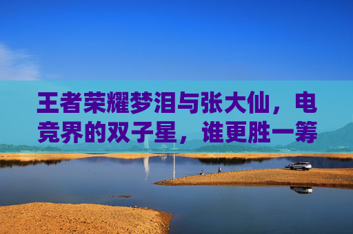 王者荣耀梦泪与张大仙，电竞界的双子星，谁更胜一筹？,梦泪与张大仙露娜之争