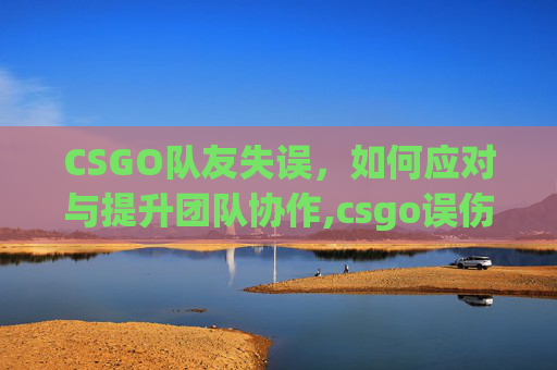 CSGO队友失误，如何应对与提升团队协作,csgo误伤队友被禁止多长时间