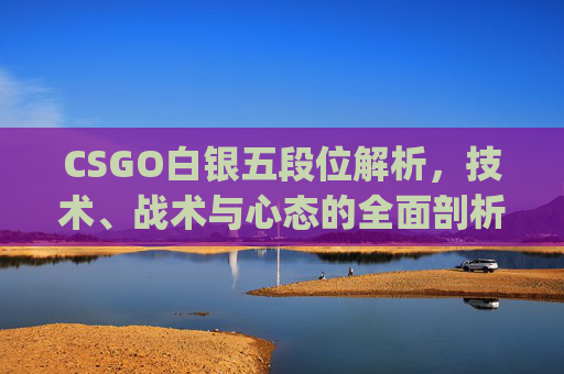 CSGO白银五段位解析，技术、战术与心态的全面剖析,csgo白银一是什么水平