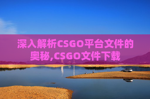深入解析CSGO平台文件的奥秘,CSGO文件下载