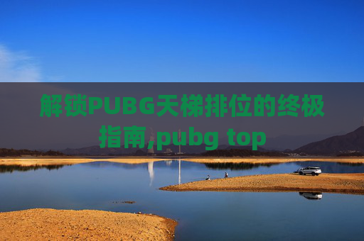 解锁PUBG天梯排位的终极指南,pubg top