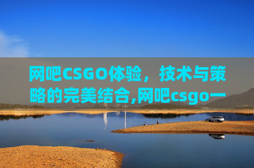 网吧CSGO体验，技术与策略的完美结合,网吧csgo一直显示正在验证