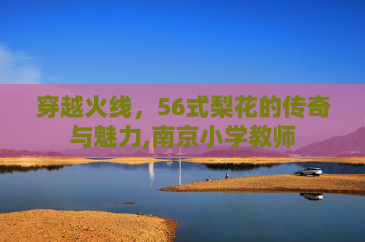 穿越火线，56式梨花的传奇与魅力,南京小学教师