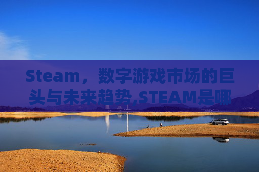 Steam，数字游戏市场的巨头与未来趋势,STEAM是哪个国家开发的