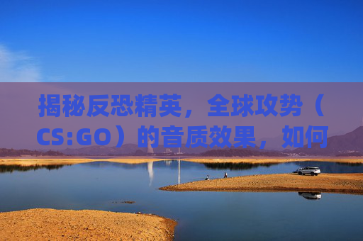 揭秘反恐精英，全球攻势（CS:GO）的音质效果，如何影响游戏体验？,csgo音质炸了怎么办