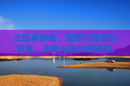 三国杀协会，策略与智慧的较量，历史与现代的碰撞,三国杀协力介绍