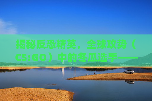 揭秘反恐精英，全球攻势（CS:GO）中的冬瓜选手——年龄与成长之路,csgo冬瓜强多大年纪