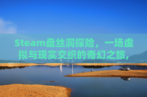 Steam盘丝洞探险，一场虚拟与现实交织的奇幻之旅,电线为什么是两根