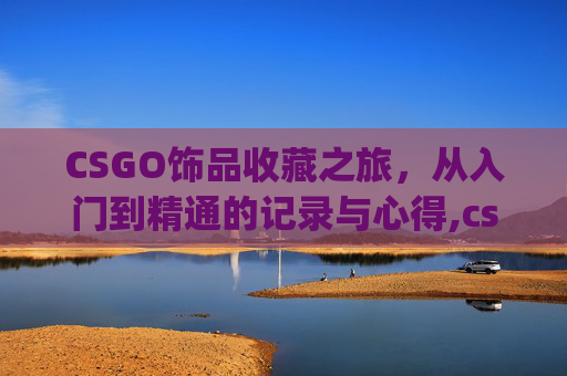 CSGO饰品收藏之旅，从入门到精通的记录与心得,csgo查饰品历史拥有者