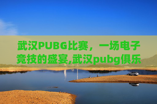 武汉PUBG比赛，一场电子竞技的盛宴,武汉pubg俱乐部
