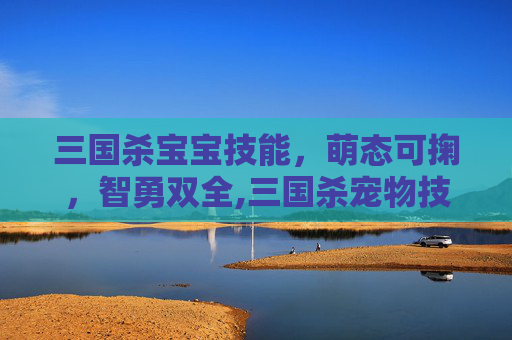 三国杀宝宝技能，萌态可掬，智勇双全,三国杀宠物技能