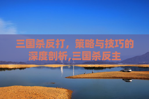 三国杀反打，策略与技巧的深度剖析,三国杀反主